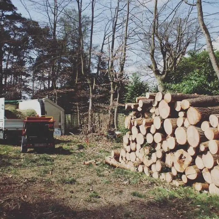 Concept de déboisement