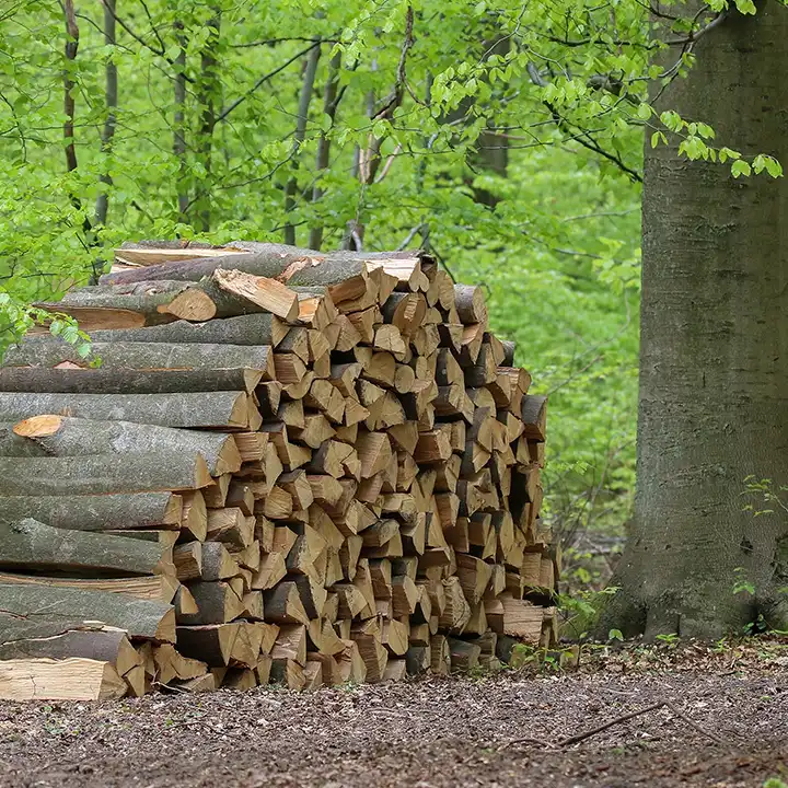 Bois de chauffage coupé