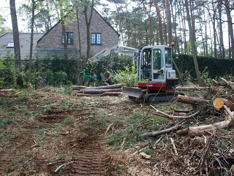 Élagage et abattage