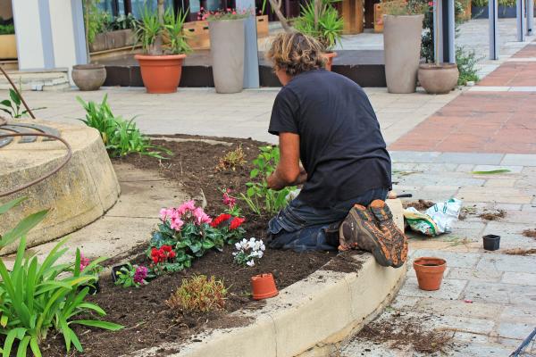 Comment choisir les bonnes plantes pour son jardin ?