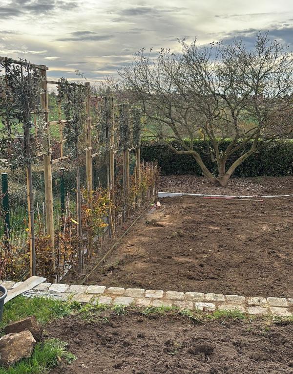 Réalisation - Plantation 