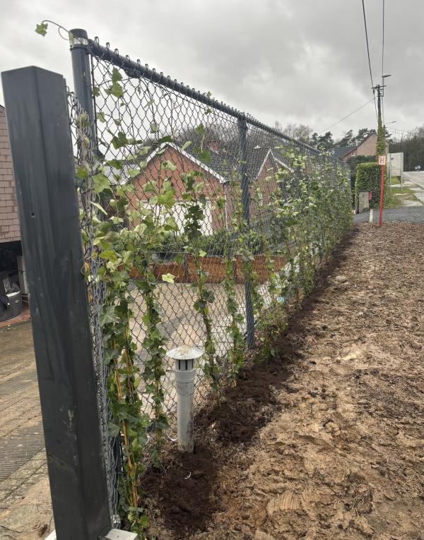 Réalisation - Plantation 