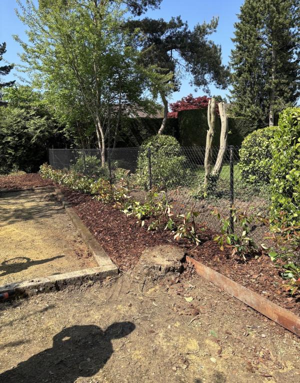 Réalisation - Plantation 