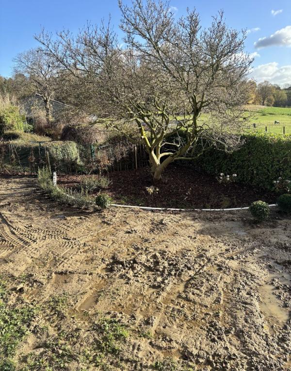 Réalisation - Plantation 