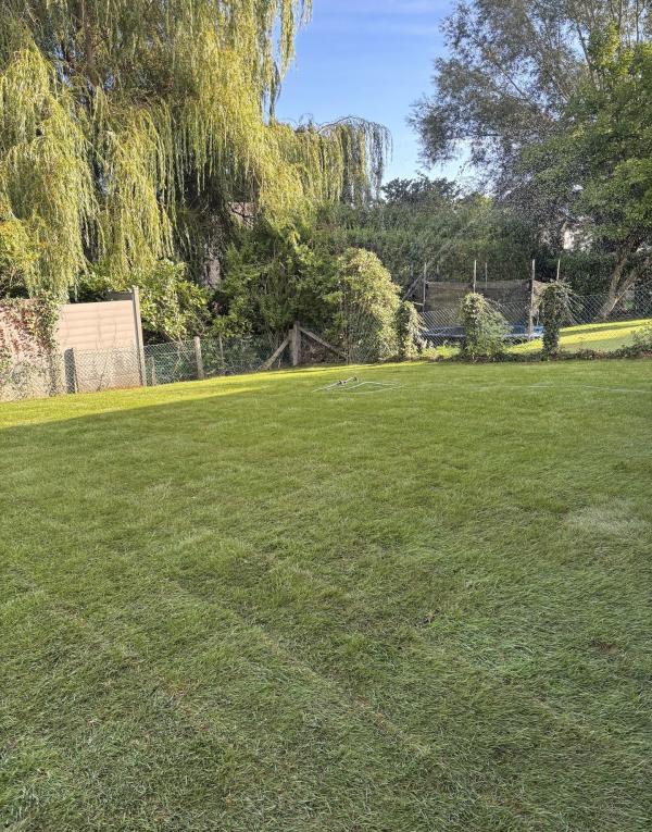 Réalisation - Plantation + Pelouse 