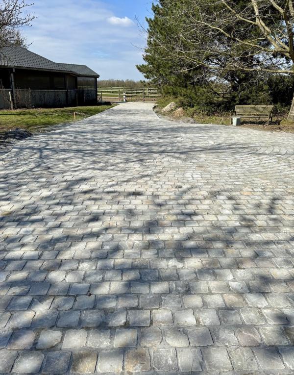 Pavage / Dallage 